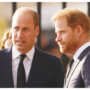 Prince Harry may be greeted warmly by brother Prince William