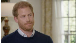 Prince Harry reveals a prize-winning author referred to the Royal Family as ‘pandas’