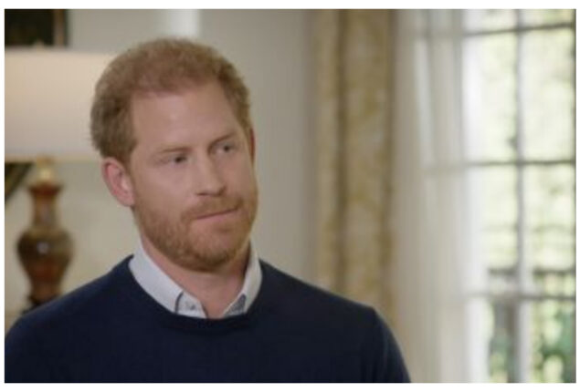 Prince Harry reveals a prize-winning author referred to the Royal Family as ‘pandas’