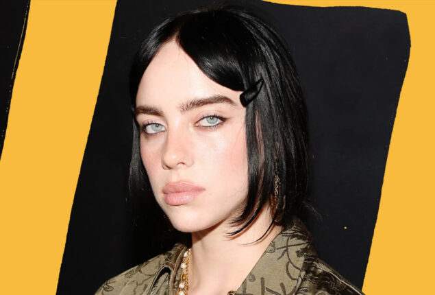Billie Eilish spots stranger staring through her window