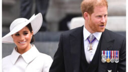 Prince Harry and Meghan would be ‘nothing’ without royal status