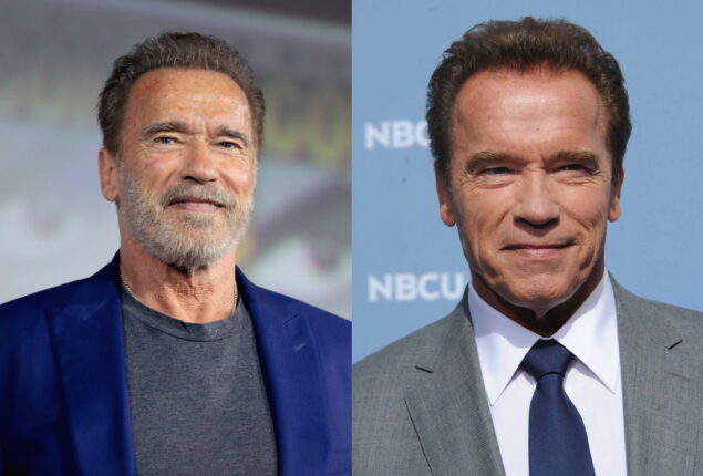 Arnold Schwarzenegger will starrer in live-action TV program “FUBAR”