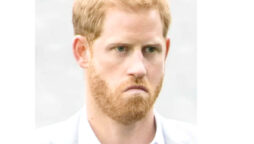 Prince Harry reportedly fallen off from waggon