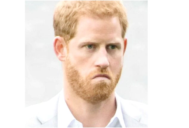 Prince Harry reportedly fallen off from waggon