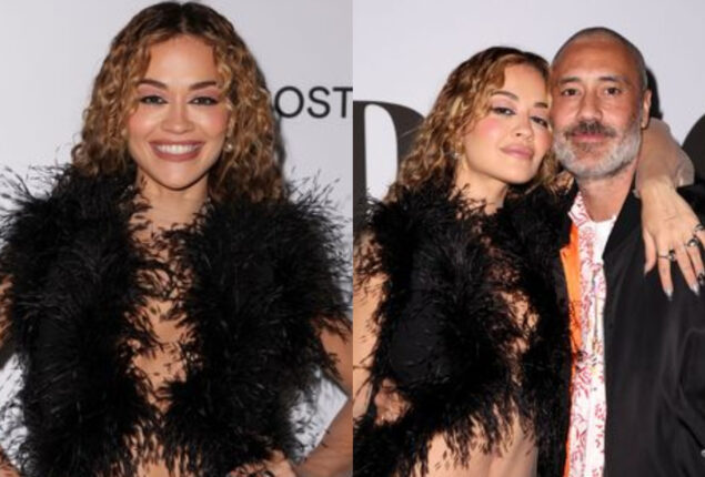 Rita Ora’s recent costume is nothing more than feather boa