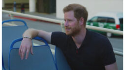 Daniela Elser calls Prince Harry’s superior mask ‘hollow’