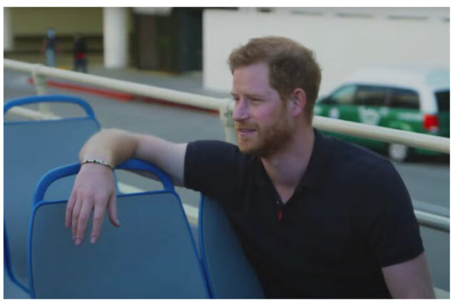 Daniela Elser calls Prince Harry’s superior mask ‘hollow’