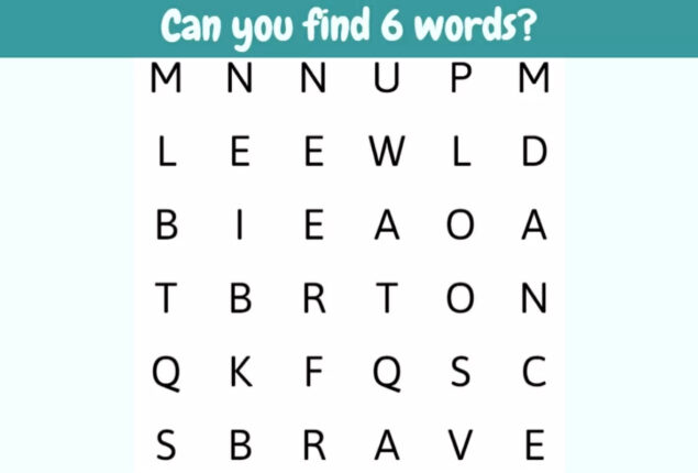 Word Search Puzzle: Find 6 Words Hidden In The Image In 29 Seconds