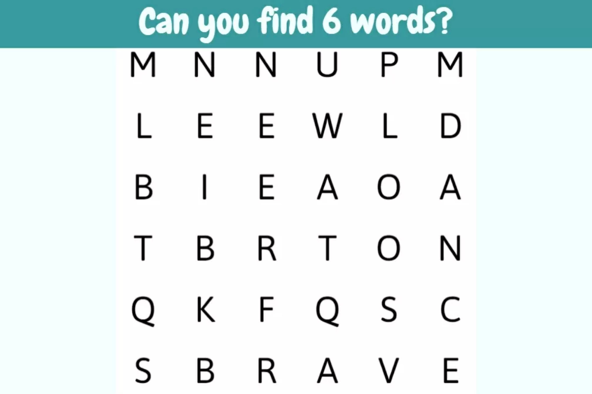 Word Search Puzzle
