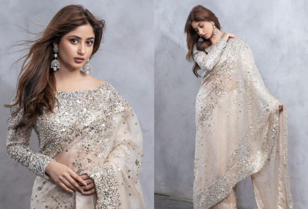 Sajal Aly is a sight to behold in silver saree