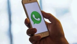 WhatsApp has introduced picture-in-picture calls on iOS
