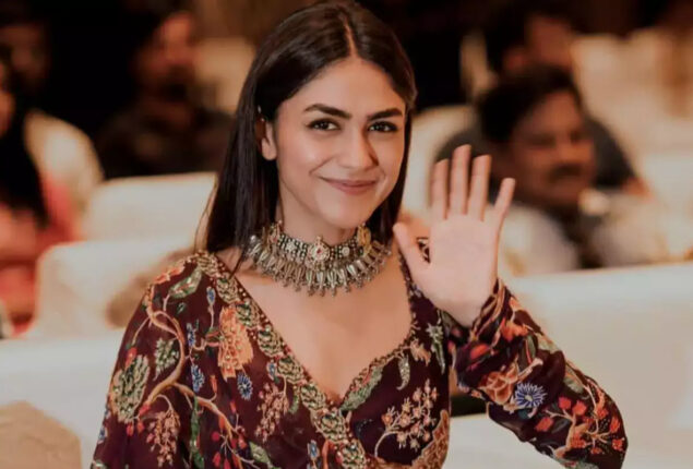 Mrunal Thakur answers to a fan’s marriage proposal on her Instagram post