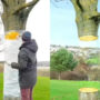 Viral Video: Man makes a tree trunk invisible in his surroundings