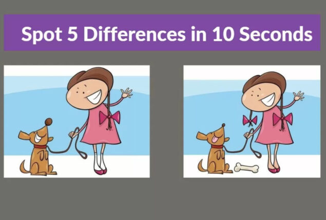 Spot The Difference: Spot 5 differences within 10 seconds