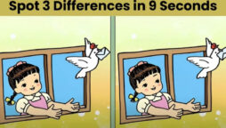Spot The Difference: Spot 3 differences in 9 seconds