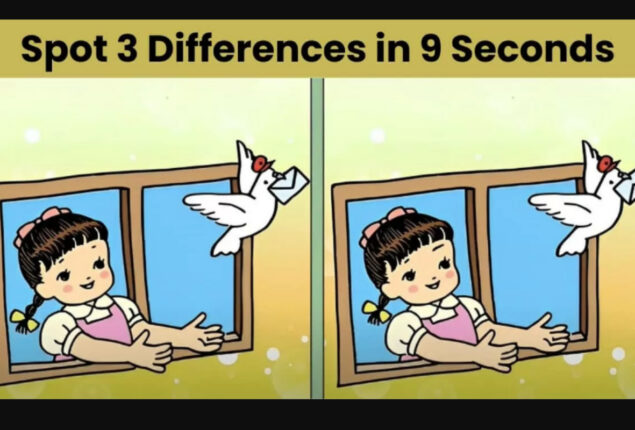 Spot The Difference: Spot 3 differences in 9 seconds