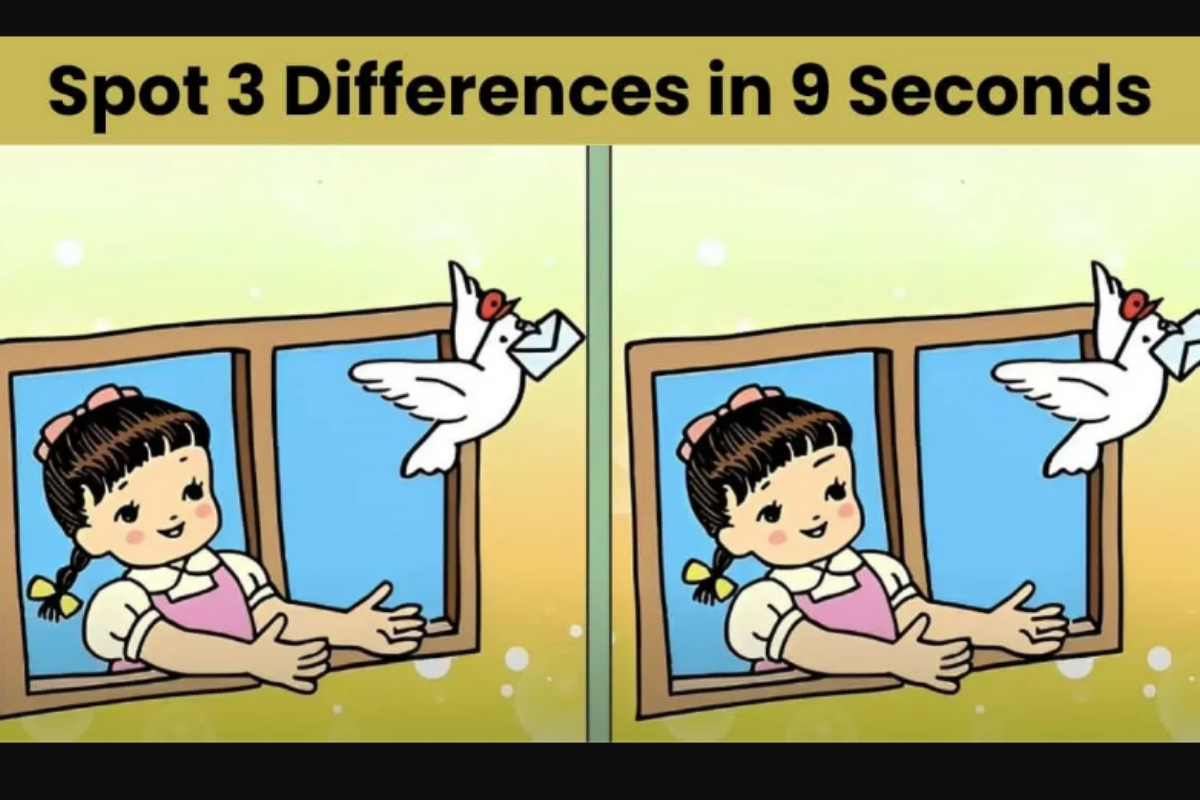 Spot The Difference
