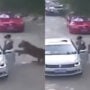 Shocking video: Tiger grabs woman, drags her away like a toy
