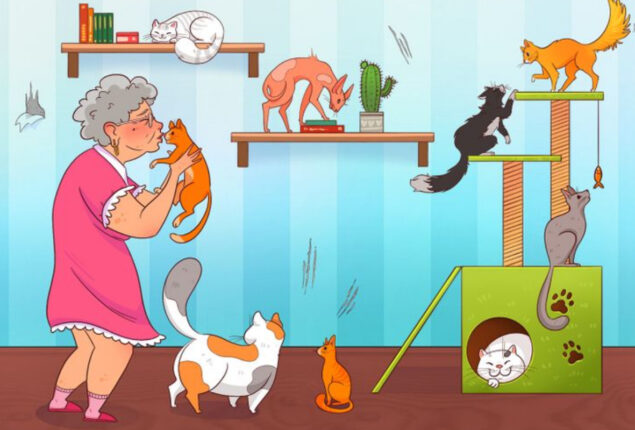 Brain Teaser: Spot mistake in Granny’s Cat Room Picture