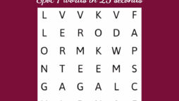 Word Search Puzzle