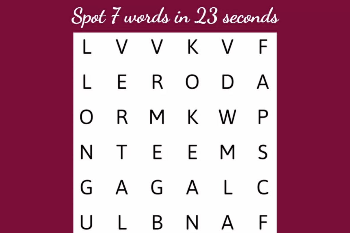 Word Search Puzzle