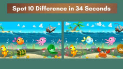 Spot The Difference: Spot 10 differences between the two images