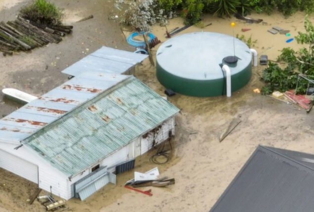 Cyclone Gabrielle: Flooding forces New Zealanders to swim to safety