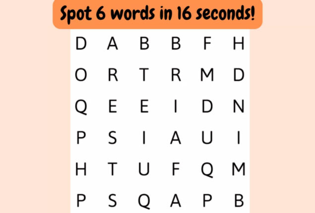 Word Search Puzzle: Spot 6 words hidden in the image