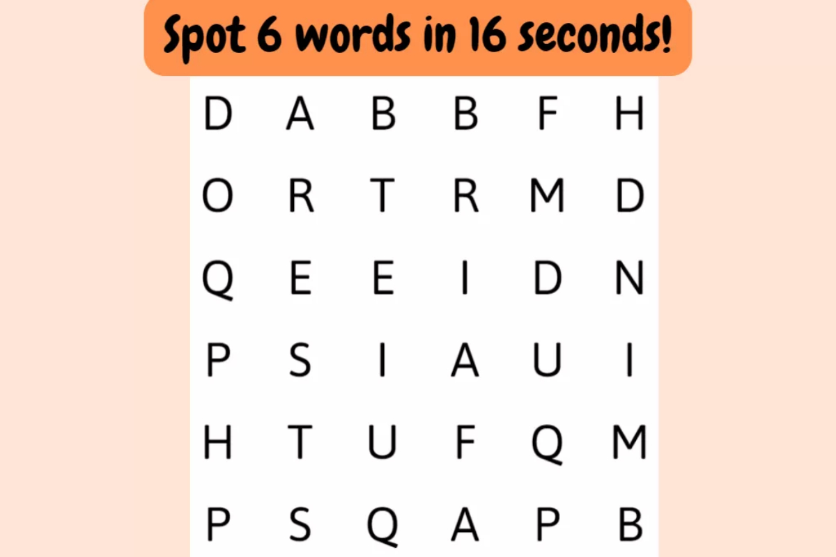 Word Search Puzzle