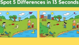 Spot the Difference: Can you find 5 differences between the two images?