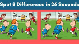 Spot The Difference: Find 8 differences between the two images in 26 seconds