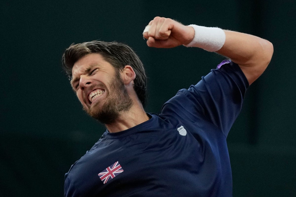 Cameron Norrie Davis Cup Finals