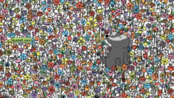 Optical Illusion: Only a Genius can spot 5 Butterflies in 25 secs!