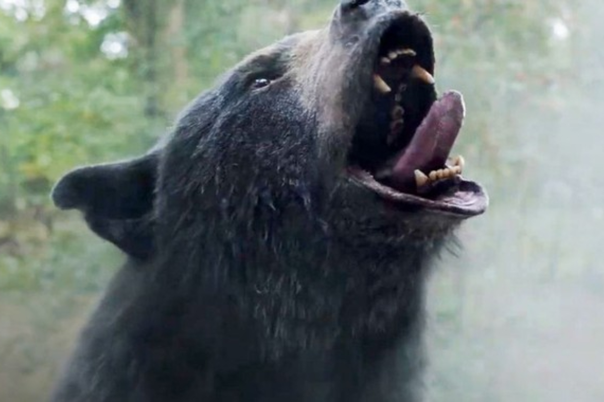 Cocaine Bear box office