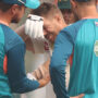 David Warner will miss remainder of Border Gavaskar Trophy