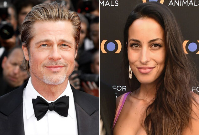 Brad Pitt and Ines de Ramon spotted together at dinner in Paris