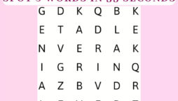 Word Search Puzzle