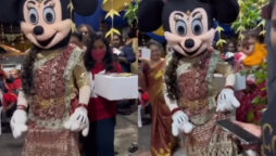 Viral: Minnie Mouse dancing to Tum Tum while wearing a lehenga