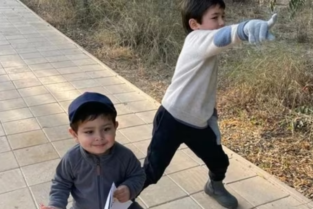 Taimur and Jehangir