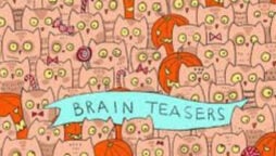 Stress relief is enjoyable with brain teasers, Try some mind games!