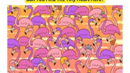 Brain Teaser: Find the tiny heart hidden among Flamingoes in this Valentine’s Week Puzzle