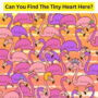 Brain Teaser: Find the tiny heart hidden among Flamingoes in this Valentine’s Week Puzzle