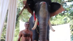 Kerala temple substitutes elephants with robots for religious rites