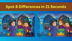 Spot The Difference: Spot 8 differences in 21 seconds
