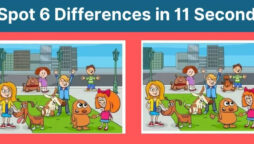 Spot The Difference: Find 6 differences in the two pictures within 11 seconds