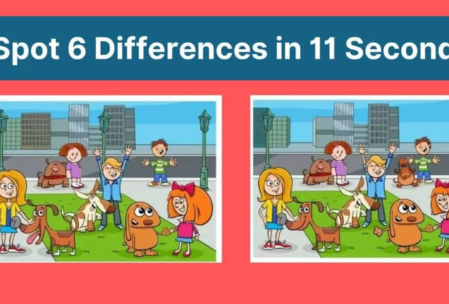 Spot The Difference: Find 6 differences in the two pictures within 11 seconds