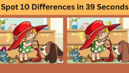 Spot The Difference: Spot 10 differences between the two images