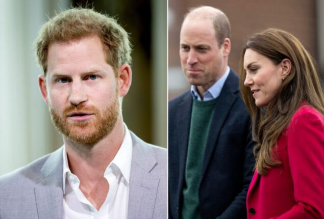 Prince William unaffected by attacks made by Prince Harry