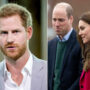 Prince William unaffected by attacks made by Prince Harry