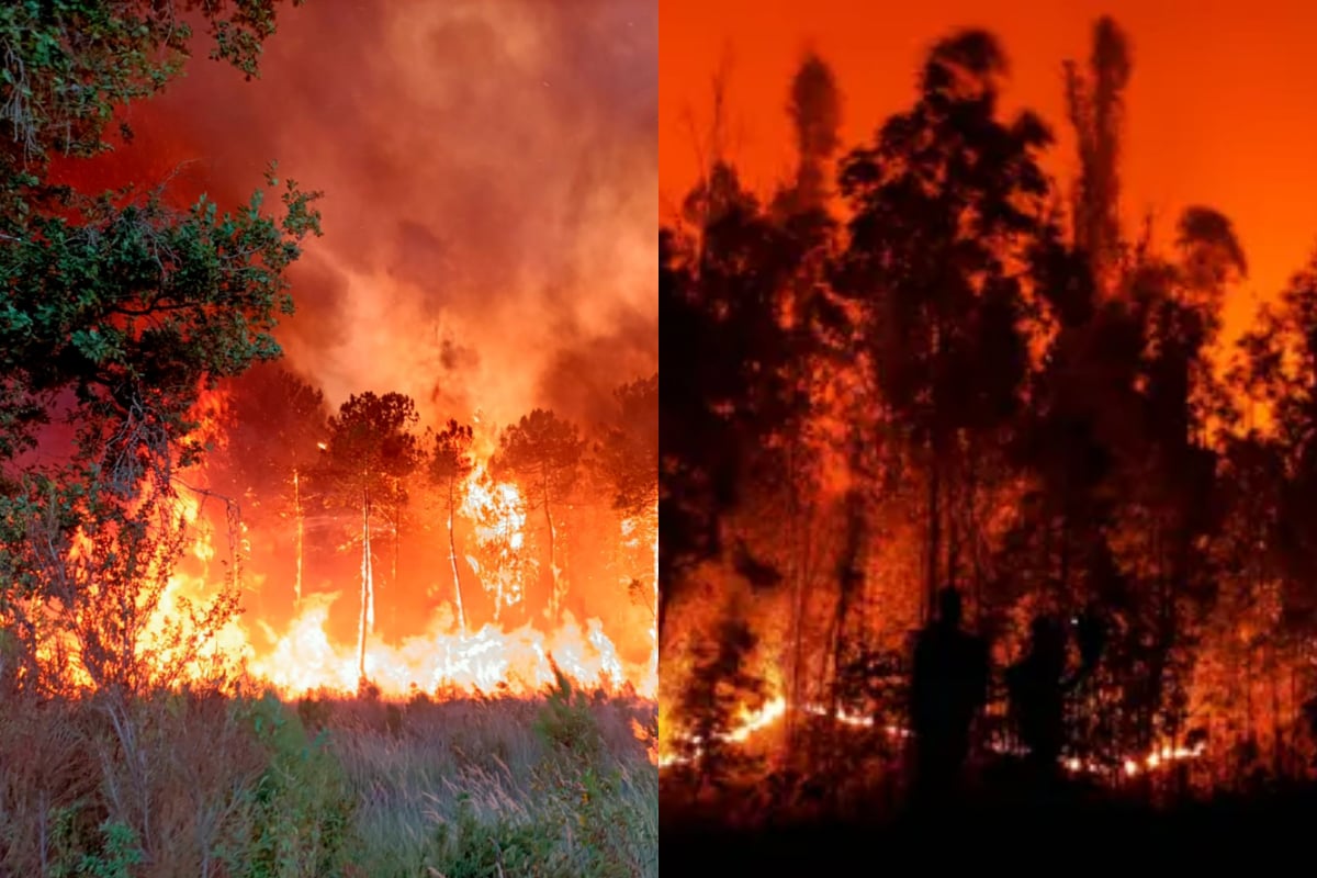 Wildfires in Chile